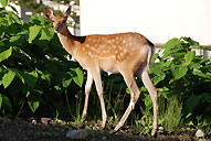 2007年社員旅行／北海道のイメージ